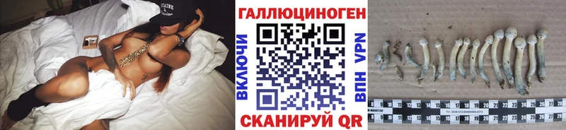 Псилоцибиновые грибы Cubensis  Киселёвск 